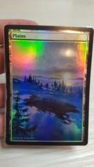 Plains Foil Extended (Winter Themed)